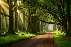 uma sujeira estrada dentro a meio do uma floresta com árvores gerado por IA foto