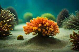 foto papel de parede mar, coral, a mar, a mar, a mar, a mar, o. gerado por IA