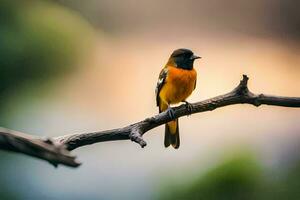 uma pequeno laranja e Preto pássaro é sentado em uma ramo. gerado por IA foto