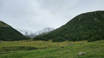 paisagens do livigno inverno esqui Centro e verão turismo, dentro Valtellina dentro a província do sondrio dentro Lombardia, dentro agosto 2023 foto