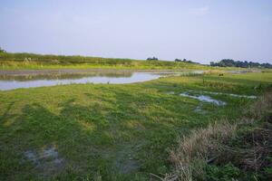 verde Campos, prados, e azul céu panorama Visão com Padma rio canal dentro Bangladesh foto