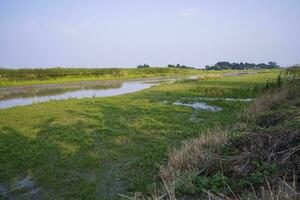 verde Campos, prados, e azul céu panorama Visão com Padma rio canal dentro Bangladesh foto