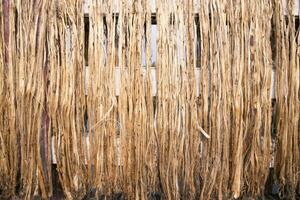 dourado juta fibra padronizar textura pode estar usava Como fundo papel de parede. isto é a chamado dourado fibra dentro Bangladesh foto