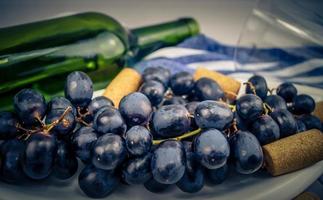 uvas e folhas de vinho branco foto