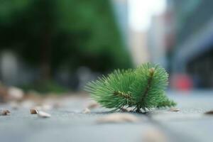 verde pinho borrado ramo em rua. gerar ai foto