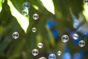 bolhas de água flutuando e caindo sobre folhas verdes foto