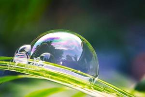 bolhas de água flutuando e caindo sobre folhas verdes foto