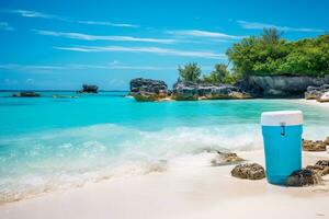 uma imaculado de praia com claro como cristal águas e uma reciclando estação. ai generativo foto