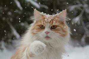 gato jogando dentro a neve dentro inverno temporada. fofa gatinho tendo Diversão com branco neve. gerado ai. foto