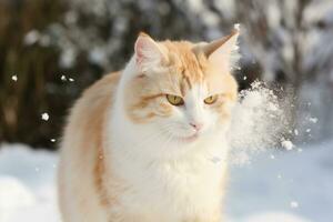 gato jogando dentro a neve dentro inverno temporada. fofa gatinho tendo Diversão com branco neve. gerado ai. foto