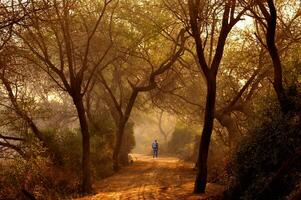 adotar a ritmo do natureza -dela segredo é paciência. - Ralph Waldo emerson foto