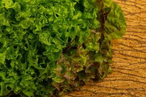 folhas de salada verde madura foto