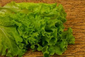 folhas de salada verde foto