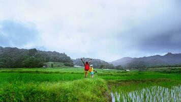 amante ásia homens ásia mulheres viagem natureza viagem relaxar caminhando uma foto em a arroz campo dentro chuvoso estação dentro Chiang maio, Tailândia