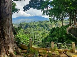 uma ótimo verde Visão a partir de sianok desfiladeiro ou ngarai sianok com Visão do montanhas coberto de nuvens, oeste sumatera, Indonésia foto