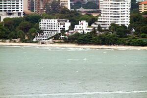 Pattaya cidade pássaros Visão foto