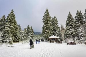 harz, alemanha 2014- caminhantes em paisagem coberta de neve foto