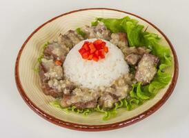 arroz e carne de porco à moda japonesa foto