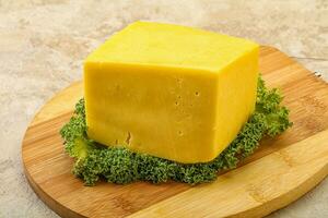 produtos lácteos de queijo tilsiter amarelo foto