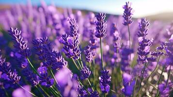 uma fechar acima do roxa flores ai gerado foto