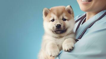 cortada tiro do veterinário segurando francês akita cachorro dentro braços, foco em cachorro. ai gerado foto