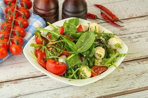 misturar salada com mozzarella e tomate foto