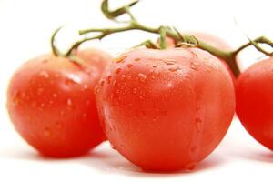 brilhante tomate isolado em branco foto