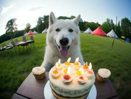 adorável cachorro posando com uma aniversário bolo às uma celebração ai generativo foto