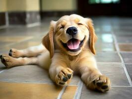 conteúdo cachorro desfrutando dentro a vivo quarto chão ai generativo foto