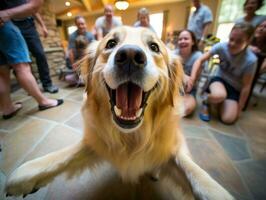 conteúdo cachorro desfrutando dentro a vivo quarto chão ai generativo foto