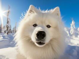 cachorro durante uma inverno andar ai generativo foto