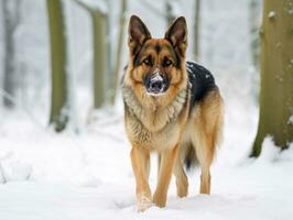 cachorro durante uma inverno andar ai generativo foto