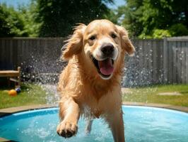 molhado e alegre cachorro saltando para dentro uma piscina em uma quente verão dia ai generativo foto