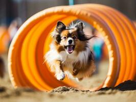 espirituoso cachorro corrida através a agilidade curso ai generativo foto