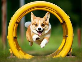 espirituoso cachorro corrida através a agilidade curso ai generativo foto