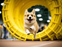 espirituoso cachorro corrida através a agilidade curso ai generativo foto