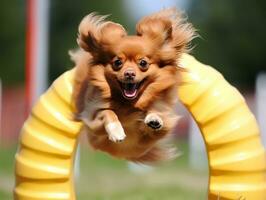 espirituoso cachorro corrida através a agilidade curso ai generativo foto