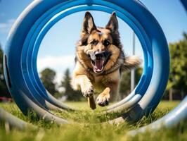 espirituoso cachorro corrida através a agilidade curso ai generativo foto