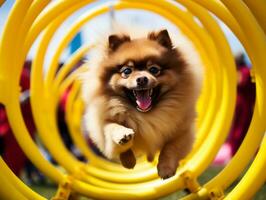 espirituoso cachorro corrida através a agilidade curso ai generativo foto