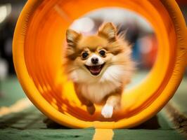 espirituoso cachorro corrida através a agilidade curso ai generativo foto