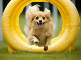 espirituoso cachorro corrida através a agilidade curso ai generativo foto