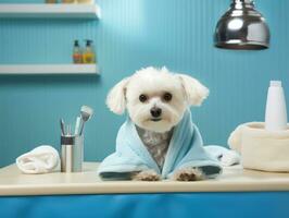 sereno cachorro desfrutando uma massagem às uma animal spa ai generativo foto