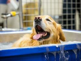 sereno cachorro desfrutando uma massagem às uma animal spa ai generativo foto