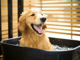 sereno cachorro desfrutando uma massagem às uma animal spa ai generativo foto