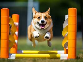 espirituoso cachorro corrida através a agilidade curso ai generativo foto