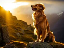 majestoso cachorro em pé orgulhosamente em uma montanha pico ai generativo foto