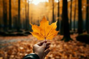 mão berços uma amarelo folha, cercado de delicado outono floresta ai gerado foto
