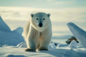 ártico gelo panorama quadros a cativante mamíferos noivando expressão ai gerado foto