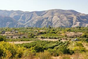 terras agrícolas e jardins perto Vila dentro Armênia foto