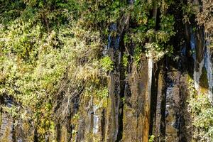 Primavera água fluxos ao longo natural basalto paredes foto